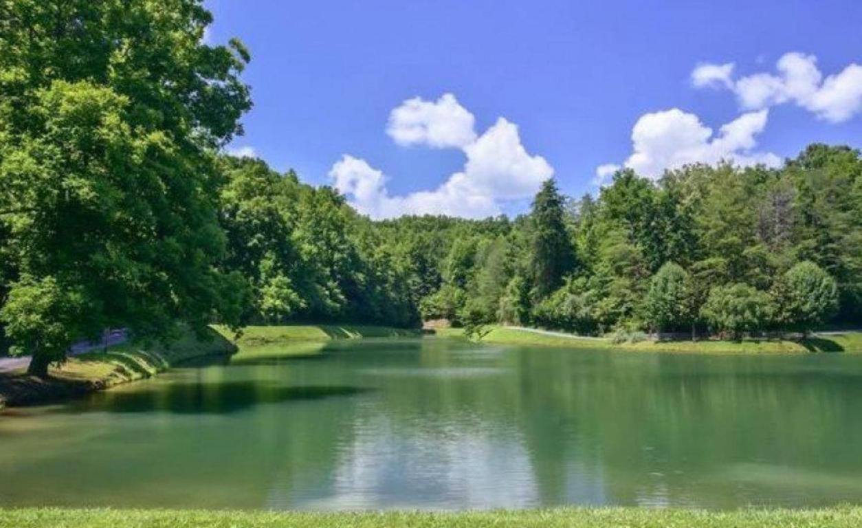 Mountain Lake Lodge, Hot Tub, Theater Room, 1089 Free Tickets Each Paid Day, Dollywood And More سيفيرفيل المظهر الخارجي الصورة