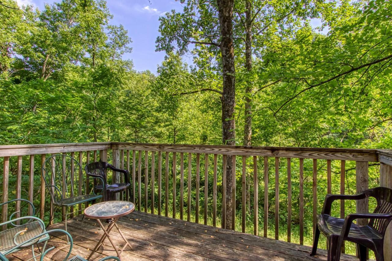 Mountain Lake Lodge, Hot Tub, Theater Room, 1089 Free Tickets Each Paid Day, Dollywood And More سيفيرفيل المظهر الخارجي الصورة