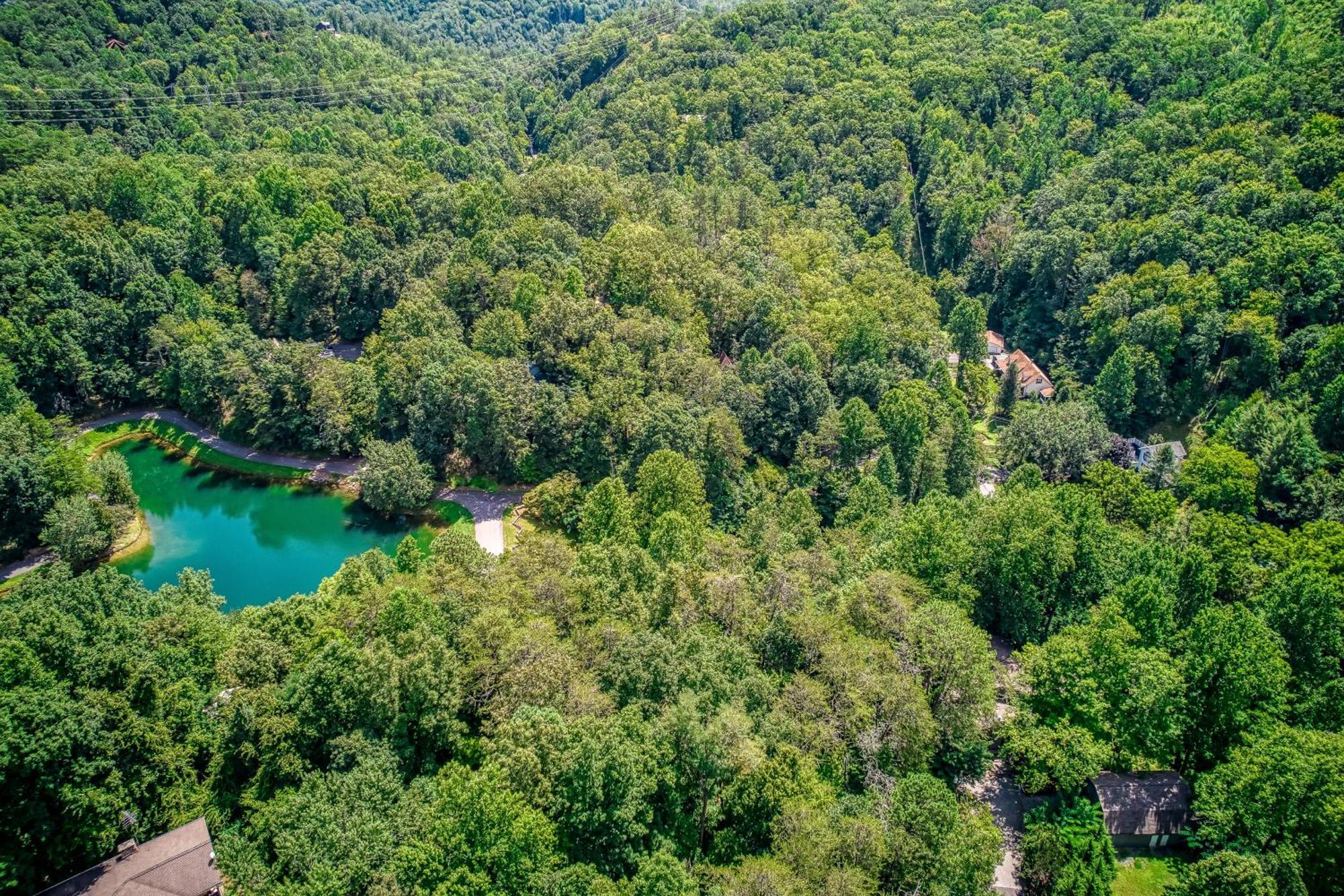 Mountain Lake Lodge, Hot Tub, Theater Room, 1089 Free Tickets Each Paid Day, Dollywood And More سيفيرفيل المظهر الخارجي الصورة