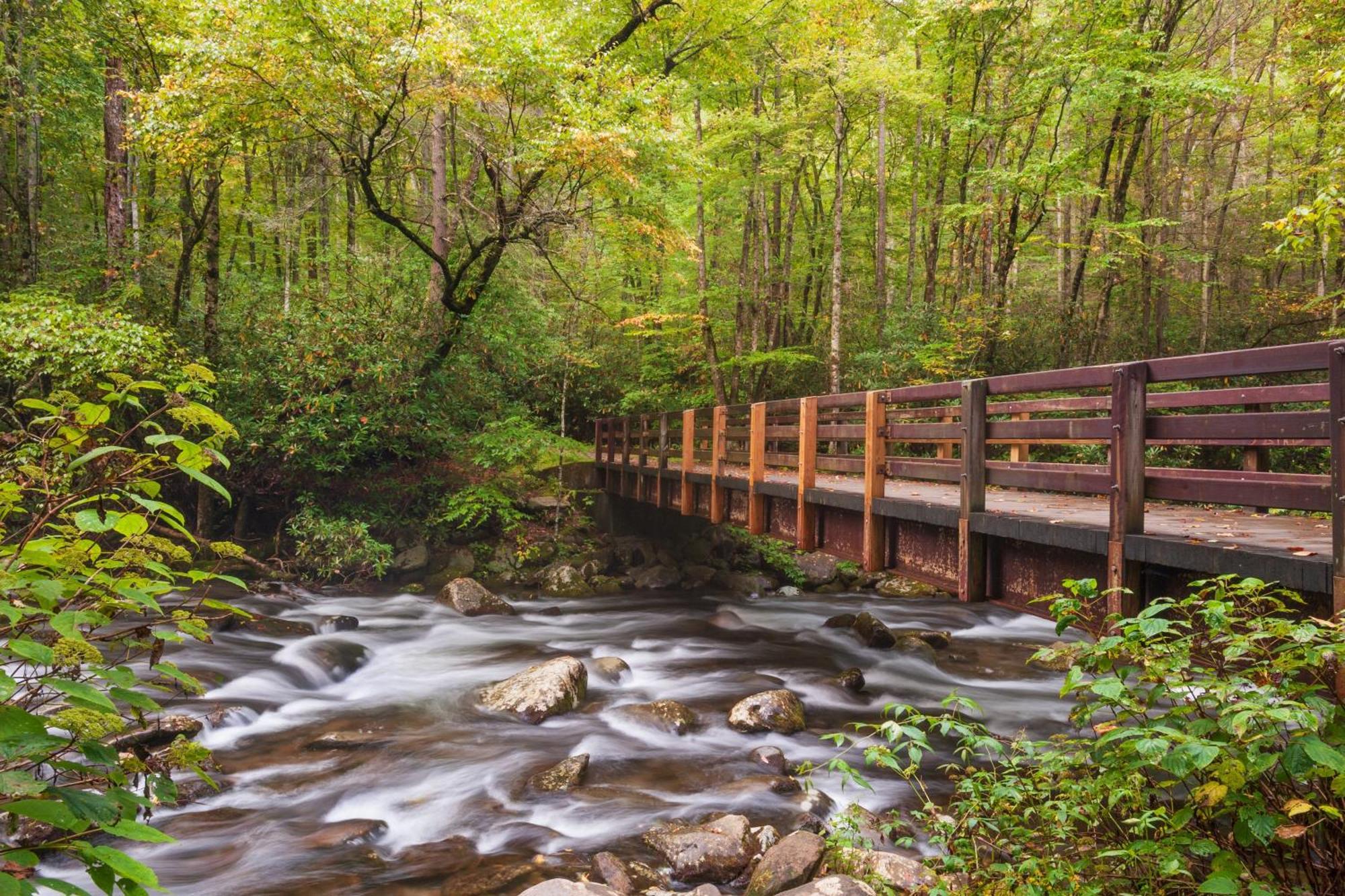 Mountain Lake Lodge, Hot Tub, Theater Room, 1089 Free Tickets Each Paid Day, Dollywood And More سيفيرفيل المظهر الخارجي الصورة